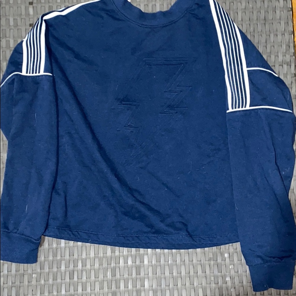 NWOT Cropped Sweatshirt